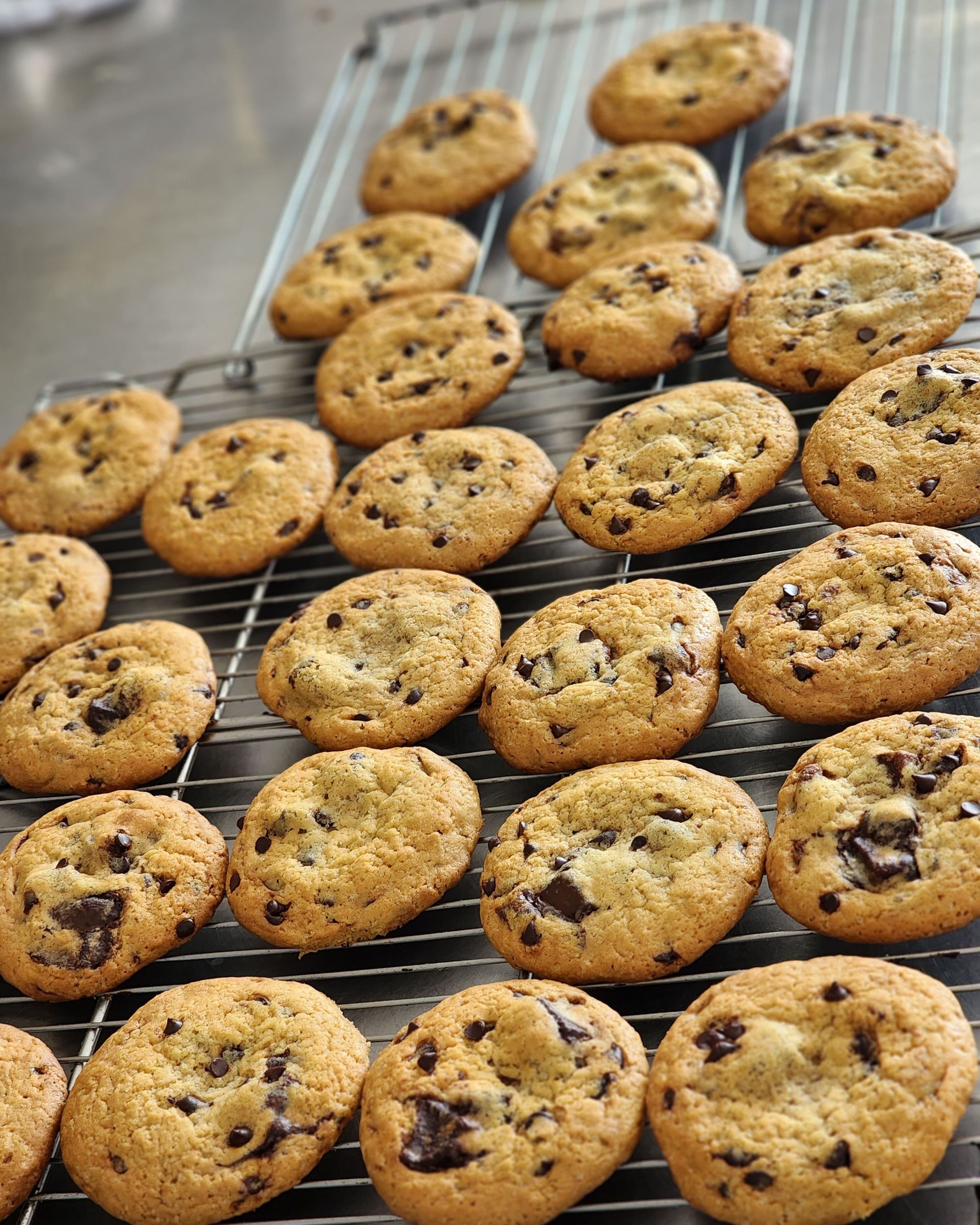 svc3 cookies sld1 r1